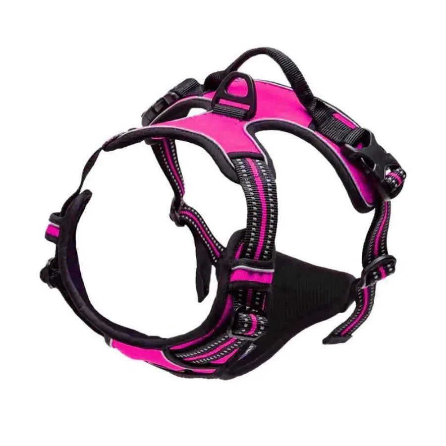 199545964-23